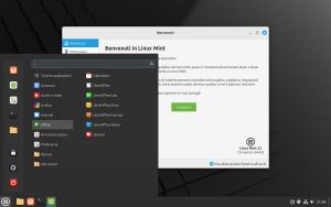 DVD Linux Mint 22 Cinnamon simile a Windows  64 bit
