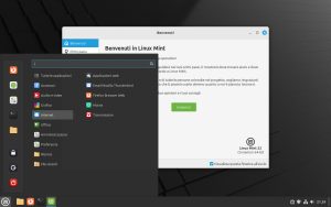 DVD Linux Mint 22 Cinnamon simile a Windows  64 bit