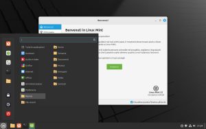 DVD Linux Mint 22 Cinnamon simile a Windows  64 bit